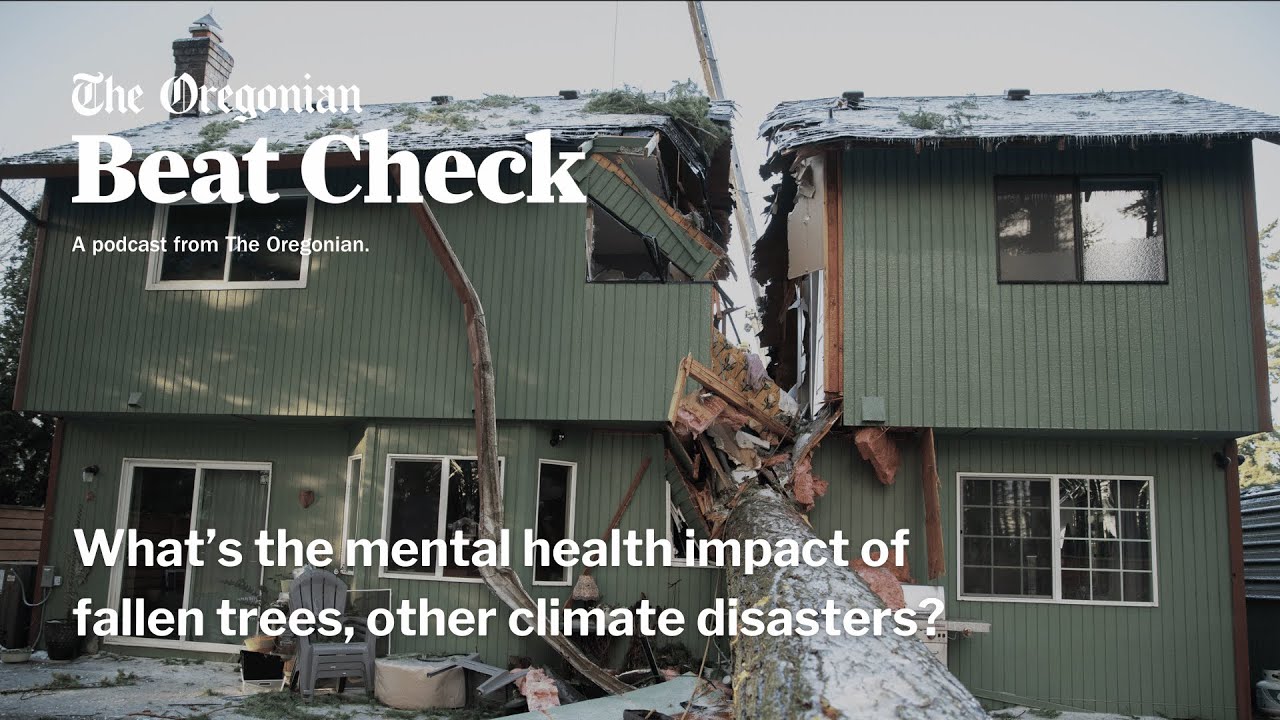What’s the mental health impact of fallen trees, other climate disasters?