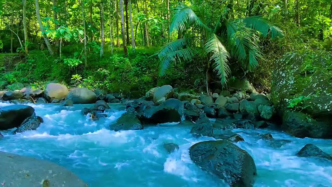 Relaxing Nature Video, Peaceful River Flowing Sound, Peaceful Ambience For Spa, Yoga, Sleep, & Focus