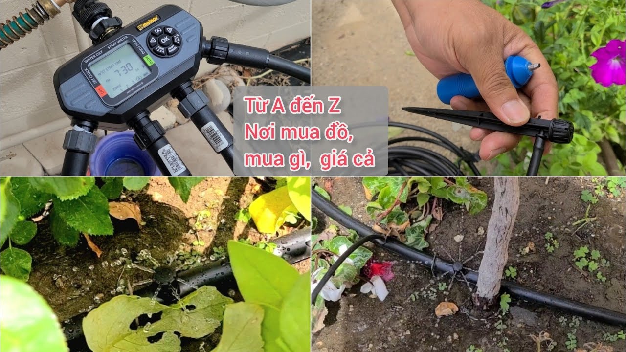 Cách tự bắt hệ thống tưới nước tự động cho vườn | Drip Irrigation