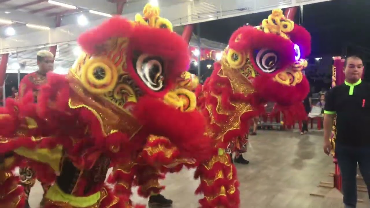 義興體育會助興 Ghee Heng Lion & Dragon Dance Performance at 東救順茂段 on the 28/9/23