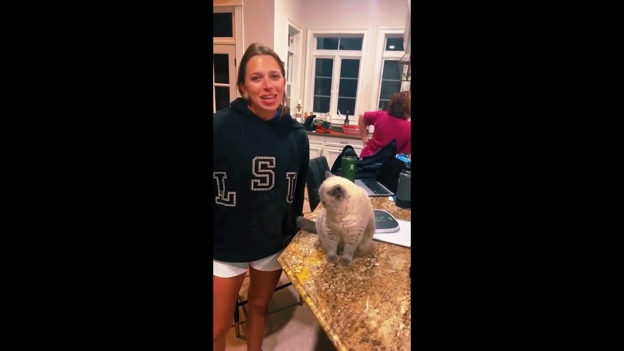 Cats With Zero Manual Control 😹 Funniest Cat Moments 2025 😂