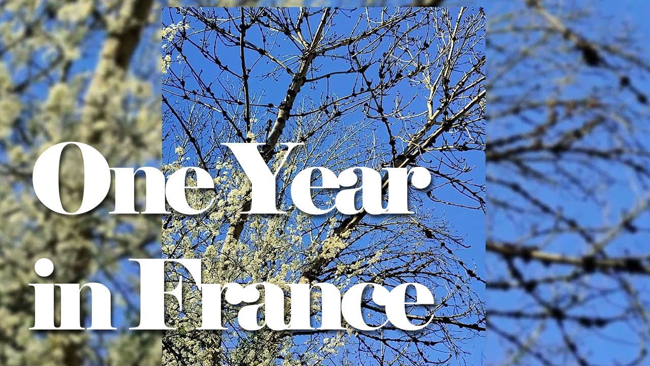 One year living in France | Four seasons in Occitanie