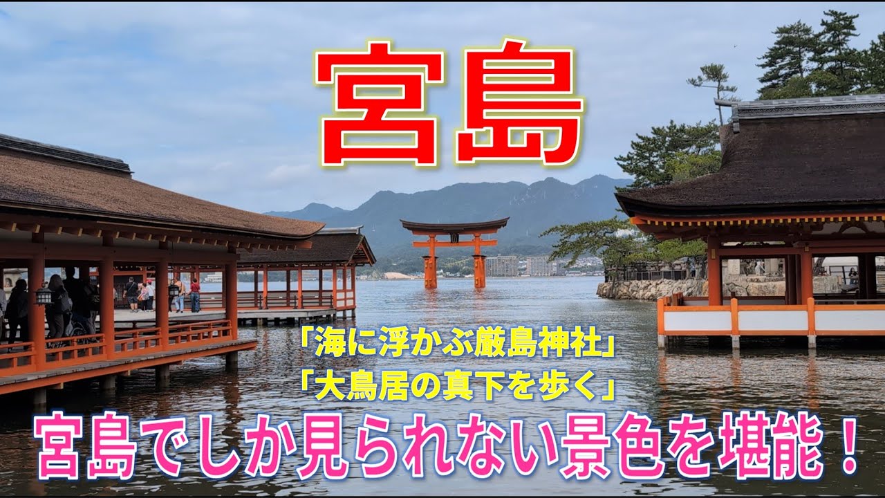 【宮島】潮の満ち引きで変わる絶景を堪能！昼も夜も最高でした。