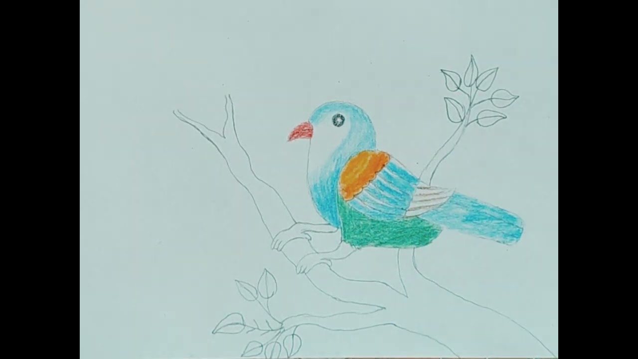 Bird drawing ( easy,,,,,) tutorial// colour pencil sketch//