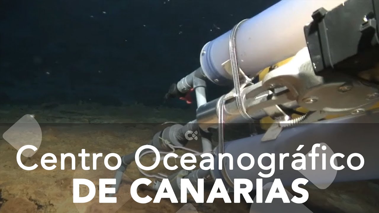 La contribución del Centro Oceanográfico de Canarias en aguas de las islas