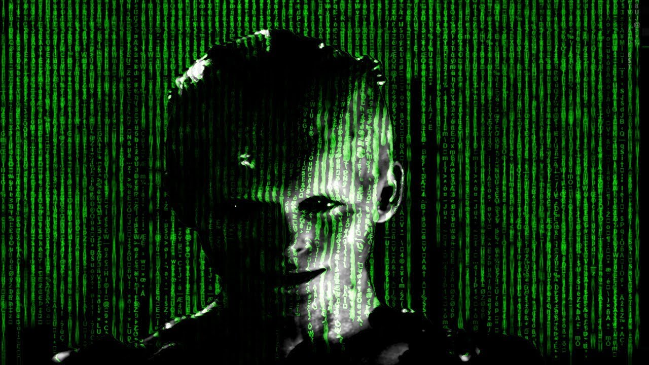 Borg Lore : The Queen Rises, Borg Civil War