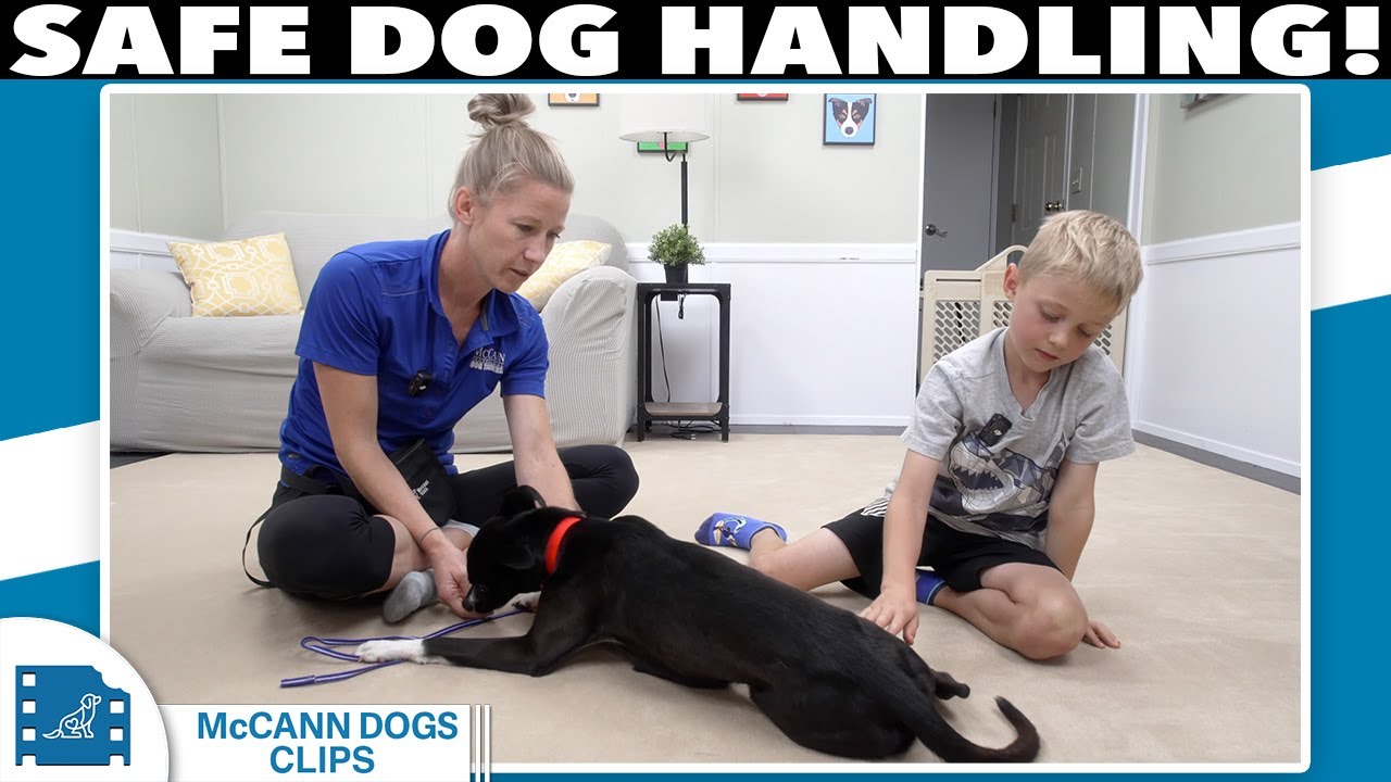 Teach Kids SAFE Dog Handling (Avoid This Mistake!)