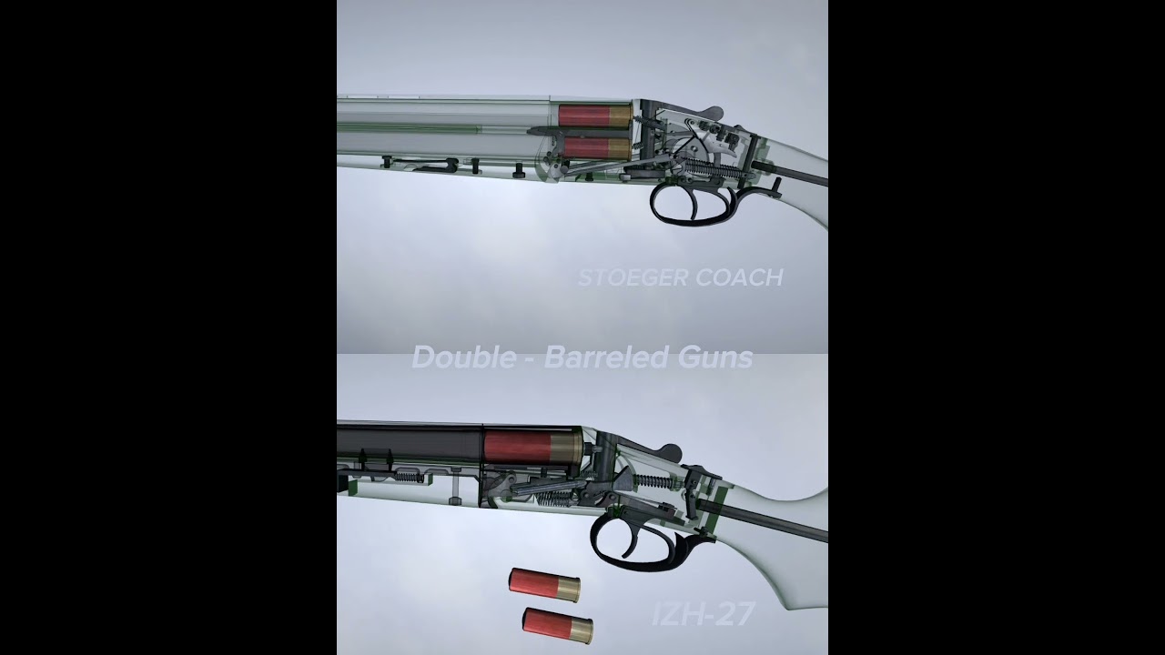 Double Barrel Duel: Stoeger Coach vs IZH 🤯| Shotgun Comparison #viral #short #gunshorts