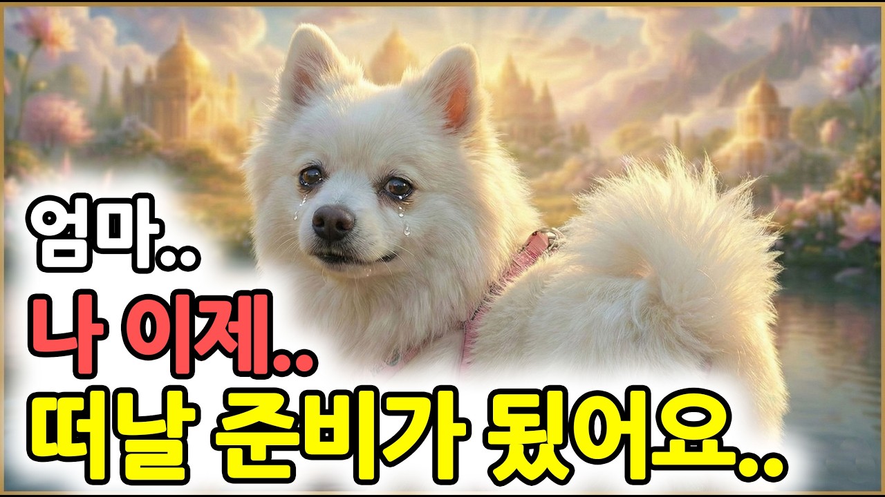 강아지가 '이별'을 준비할 때 보내는 '특별한' 주파수... 