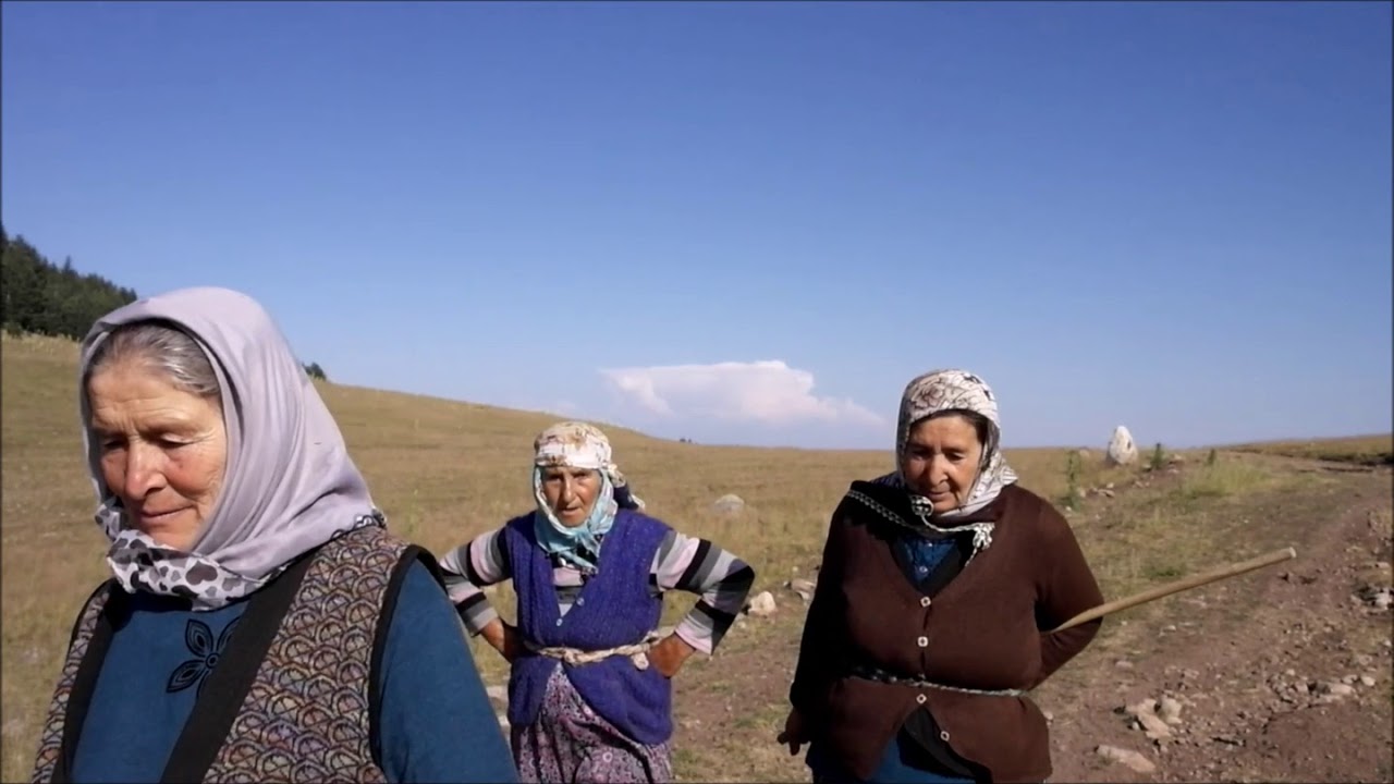 YAYLALAR YAYLALAR