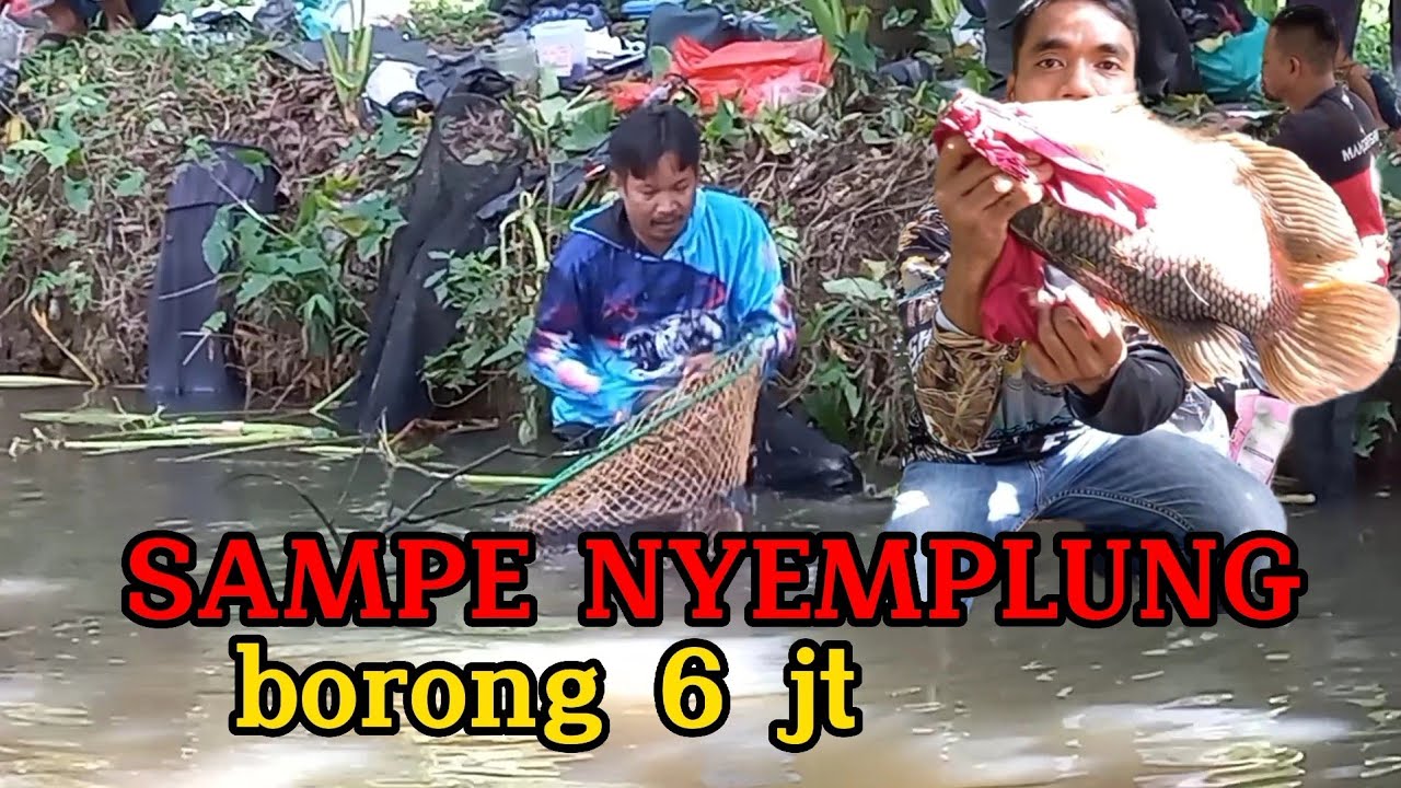 Gara2 Liat strike terus,,bikin tetangga sampe kesel,,,Mancing borongan gurame
