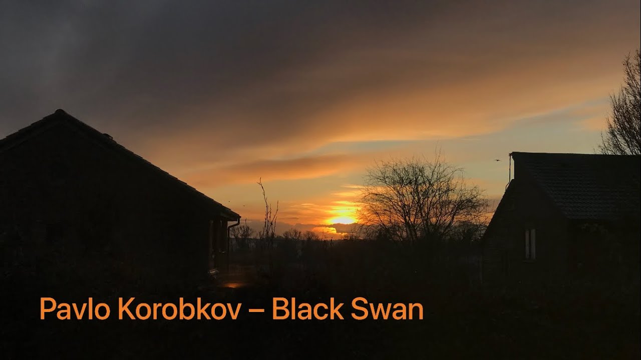 Black Swan