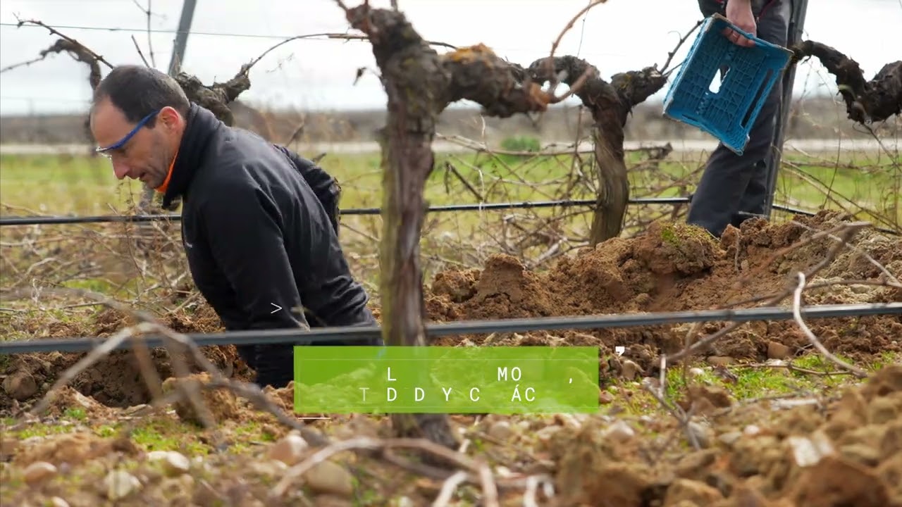 El origen de todo. As&iacute; se descifra el suelo de la Ruta del Vino de Rueda 🌱