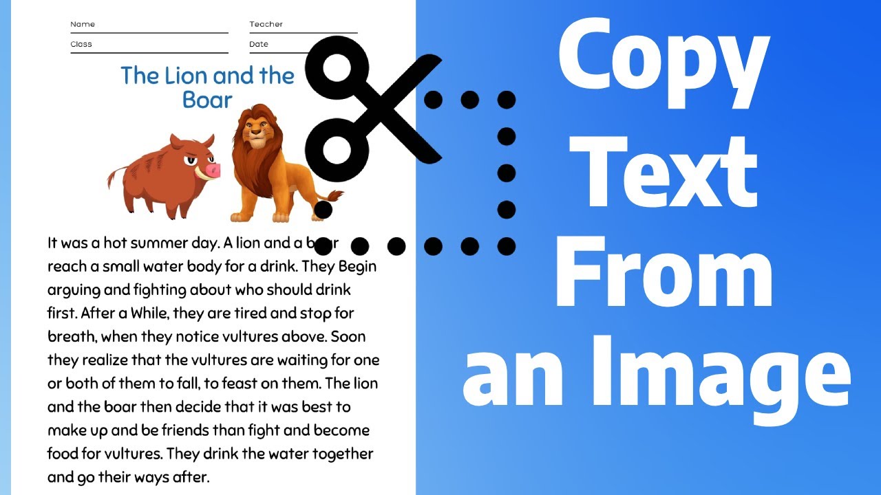 How to Copy Text from an Image?