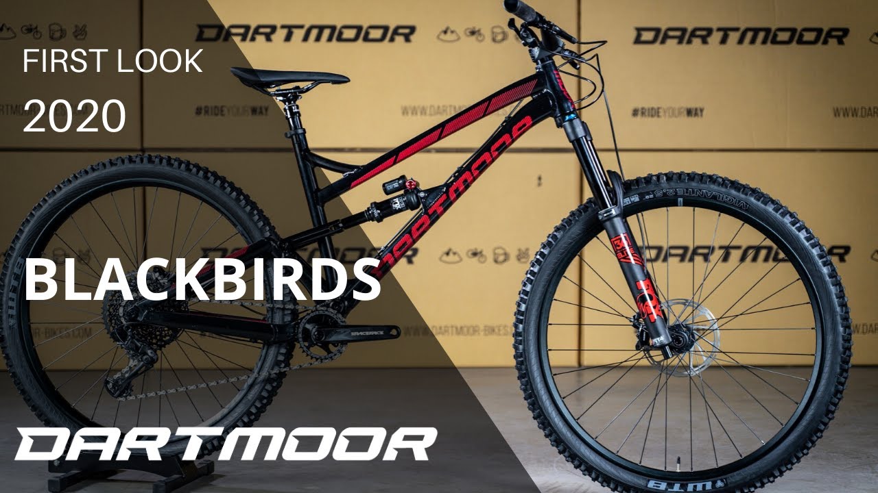 FIRST LOOK: BLACKBIRDS 2020
