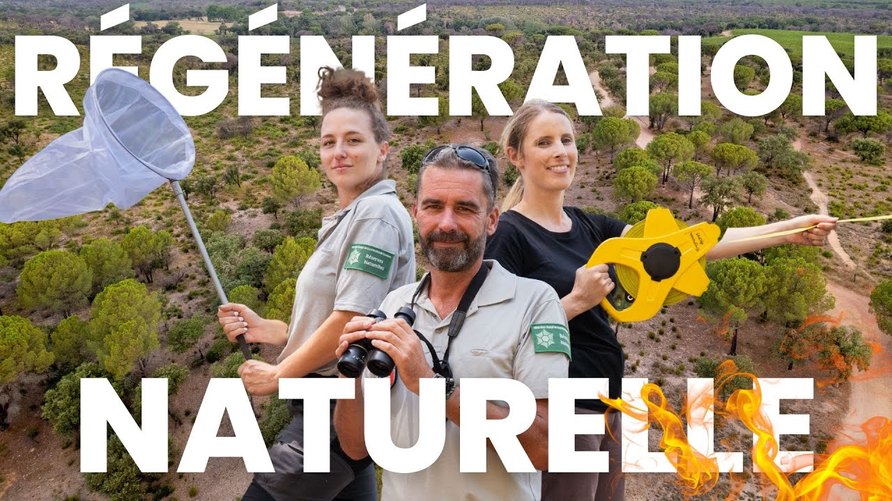La Nature se régénère APRÈS LES MÉGAFEUX ? 🔥 (avec la SNPN)