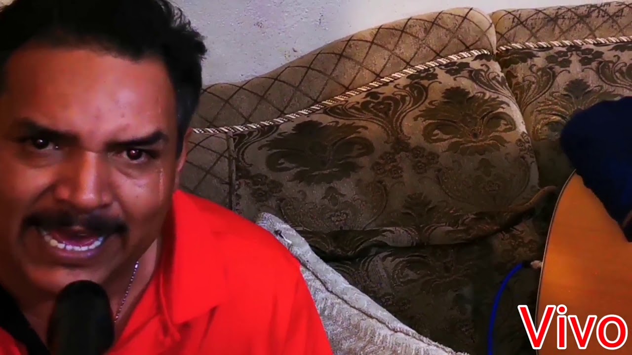 El caimán, Mary leeEl rey de la doce y los friscian's del//VIVO