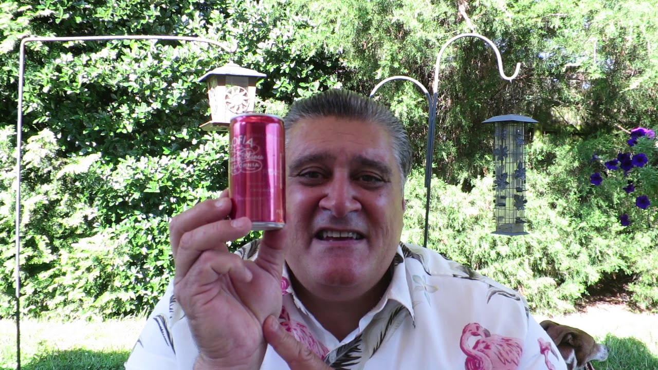 Wine Review: Sofia Blanc de Blanc California 187ml can