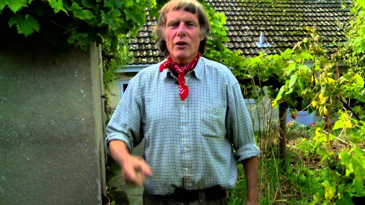 Patrick Whitefield - Growing food! Making compost and seed saving with Patrick Whitefield -