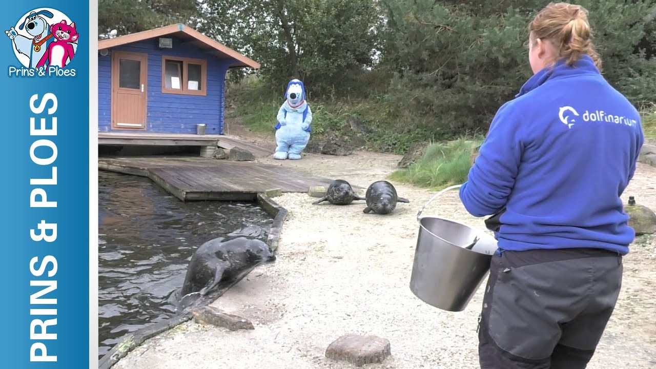 Prins & Ploes: Aflevering 19 - Zeehonden voeren bij Dolfinarium