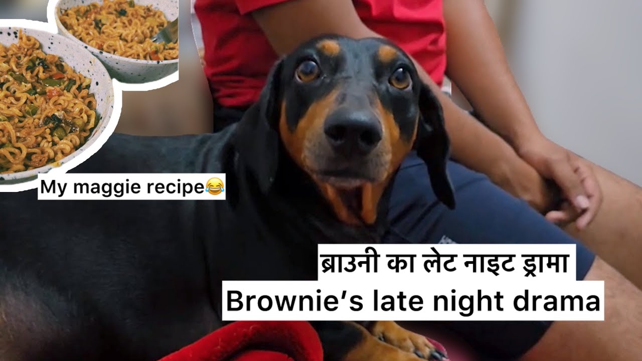 Brownie’s late night drama 🤣+ My maggie recipe 😂