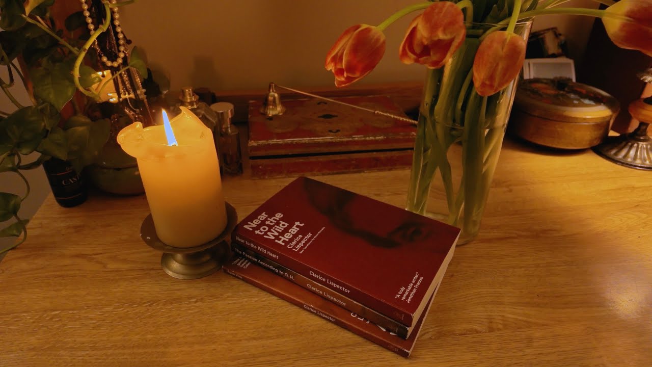a week of reading clarice lispector
