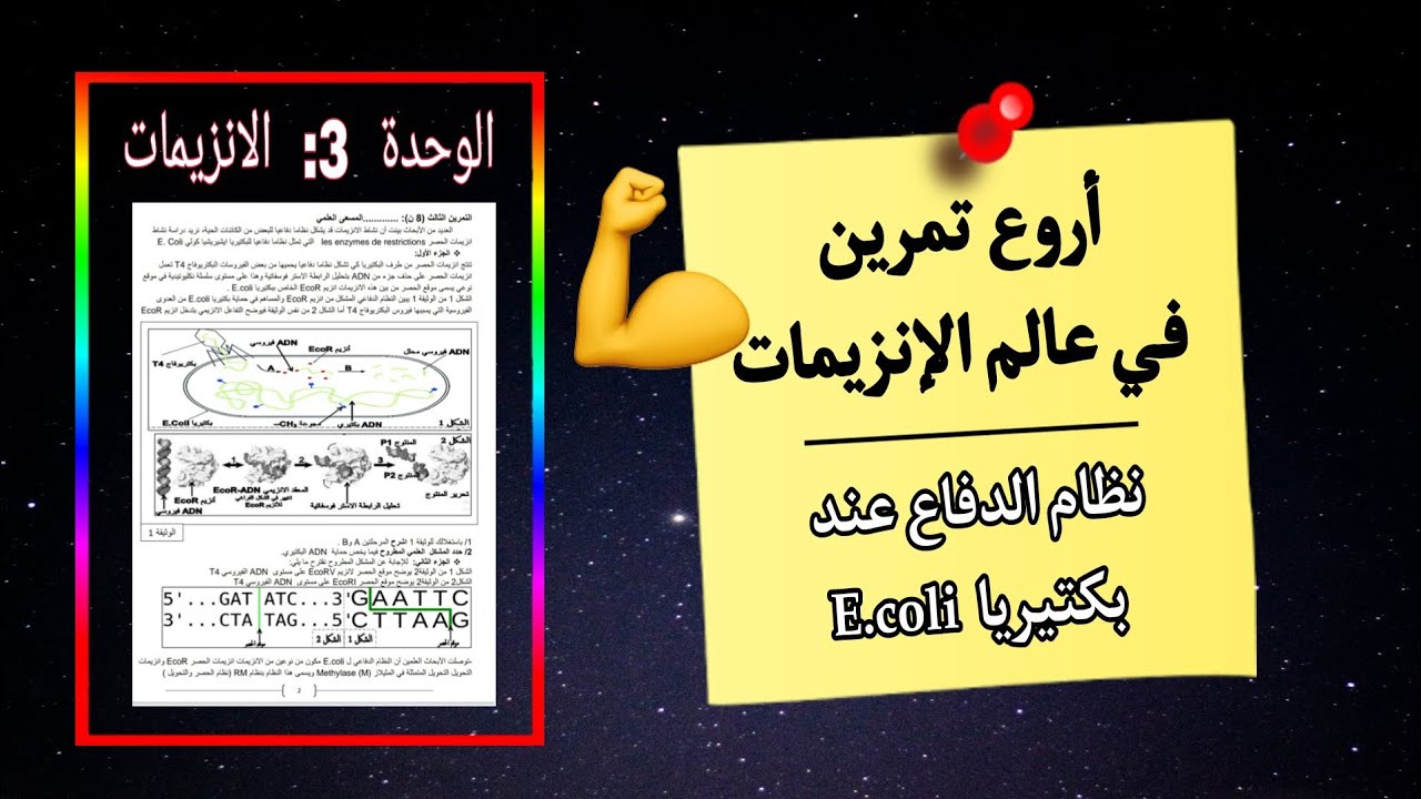 💣 أروع تمرين في عالم الانزيمات😍إنزيمات الحصر والتحويل🔥ستتعلم أشياء كثيرة وجديدة في نفس الوقت