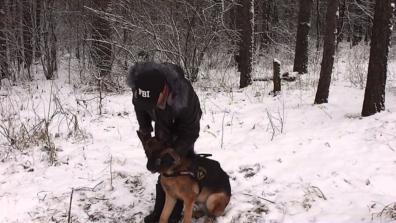 я и мой хвост. сидеть лежать