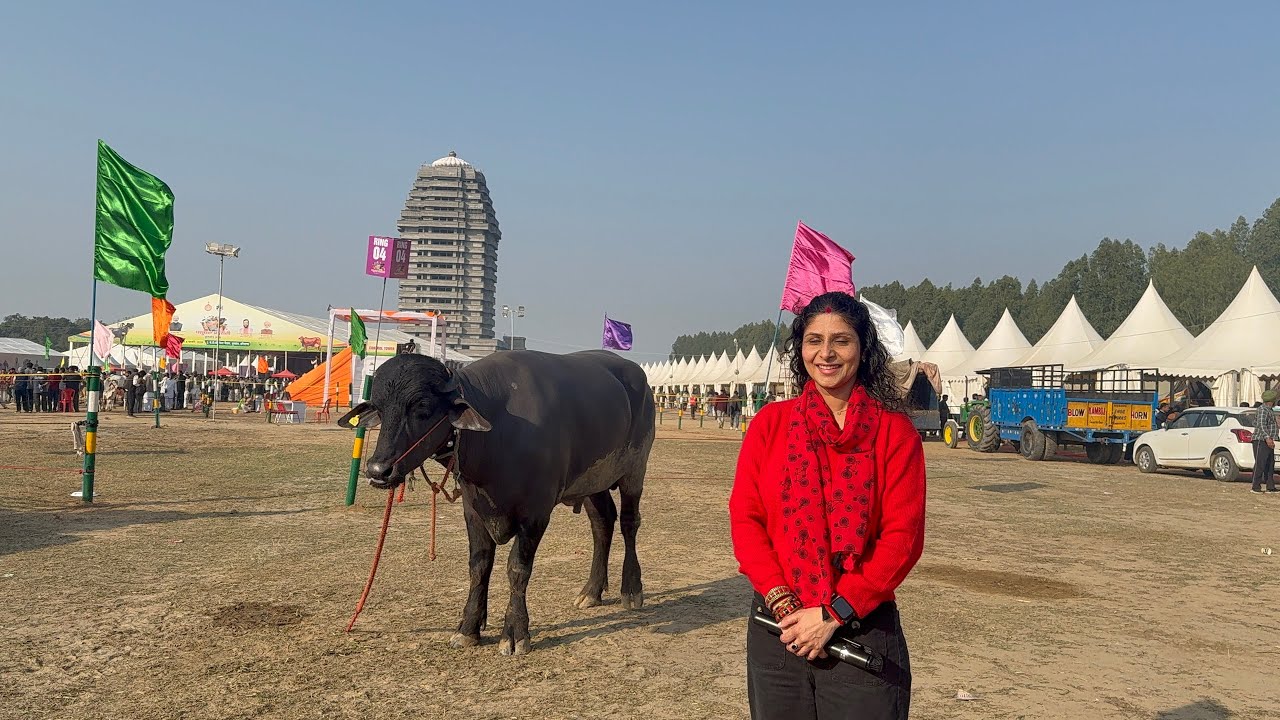 Kurukshetra Animal Fair Vlog 🐪🐄 | Camels, Cows,Horses & Farming Tools | Rural India Mela
