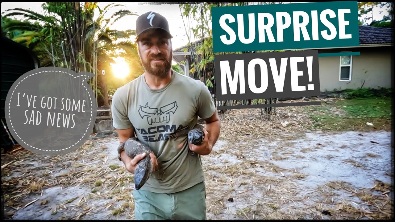 We MOVED the Black Throats EARLY + Super SAD NEWS