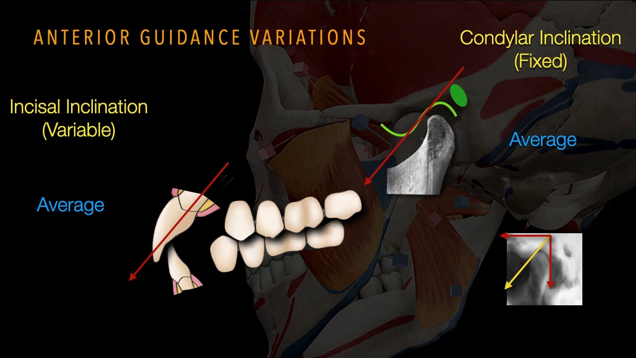 Occlusal equilibration