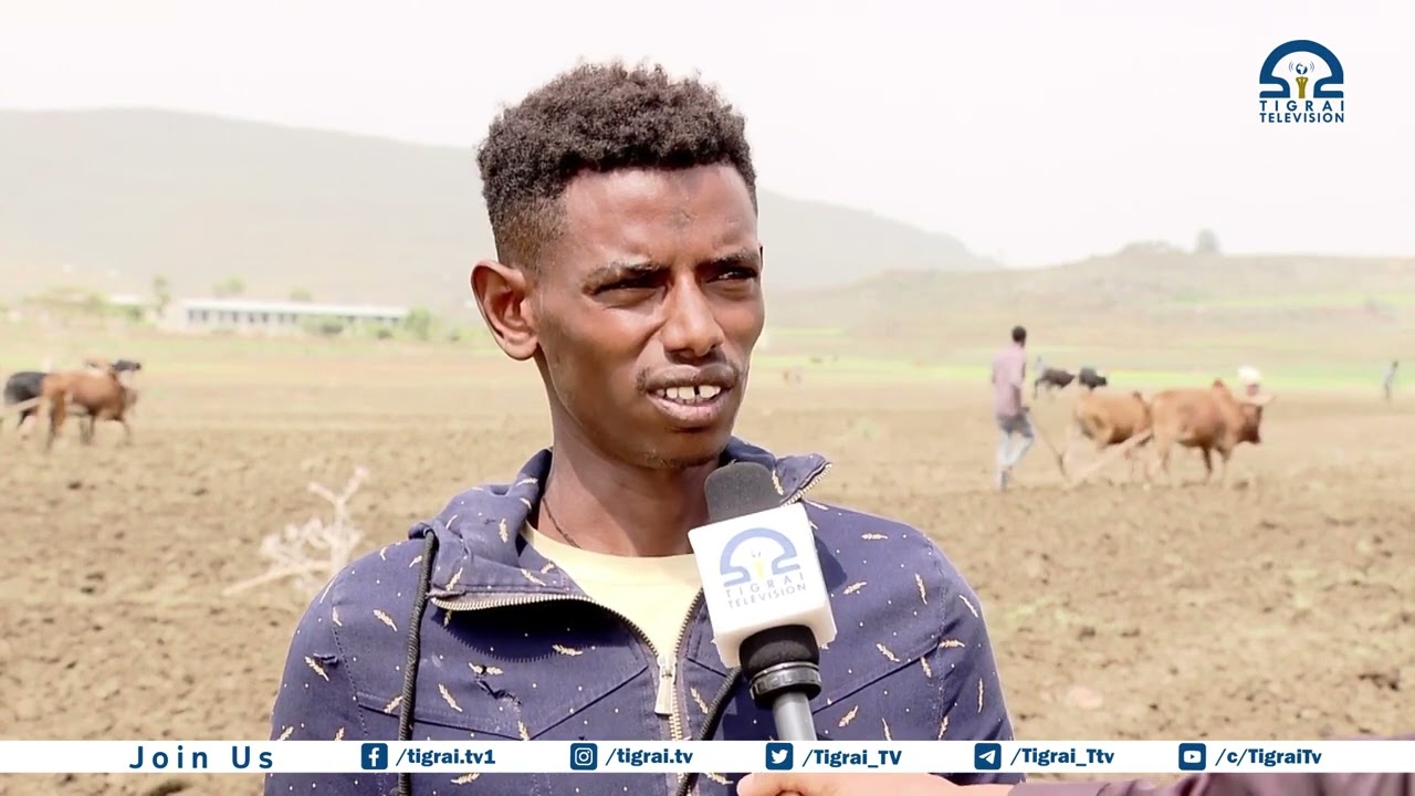 Young farmers in Metekel Vicinity,Enderta District,remain concerned due to lack of fertilizer.