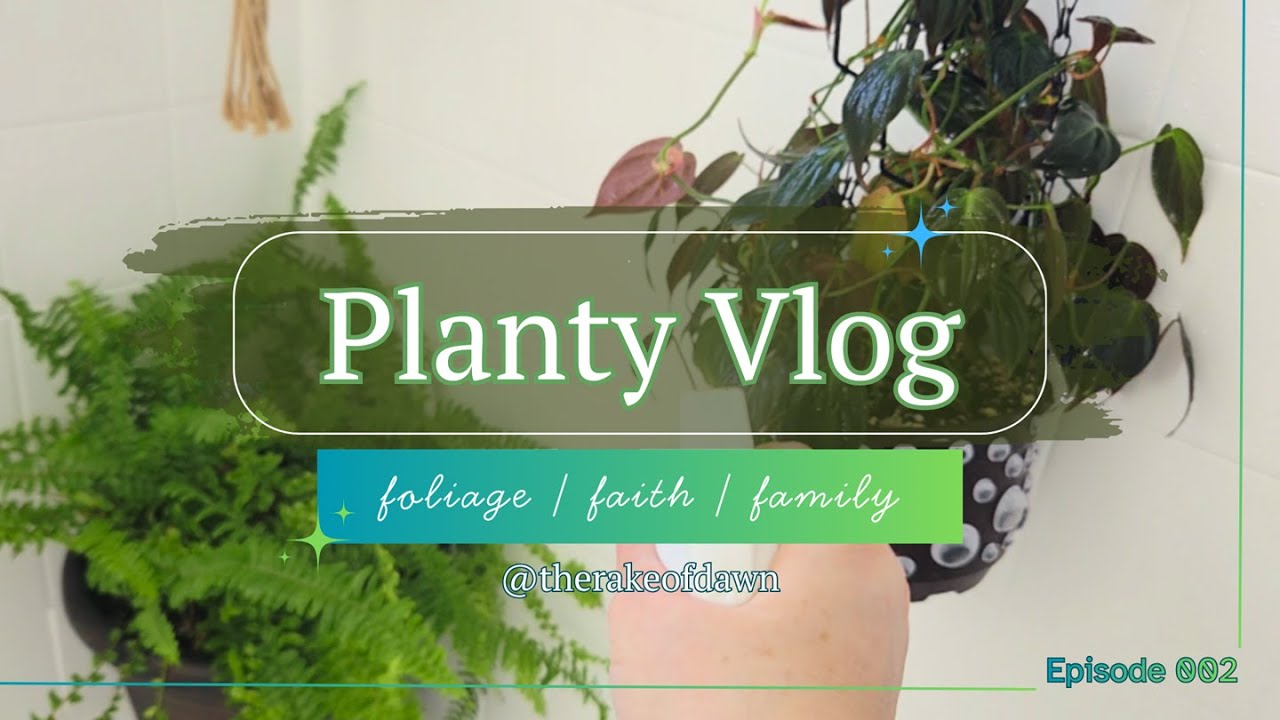 SPIDER MITES Attack! 😱 Philodendron Micans Rescue & Detailed Neem Oil Treatment Guide