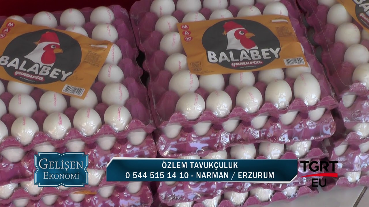 ÖZLEM TAVUKÇULUK