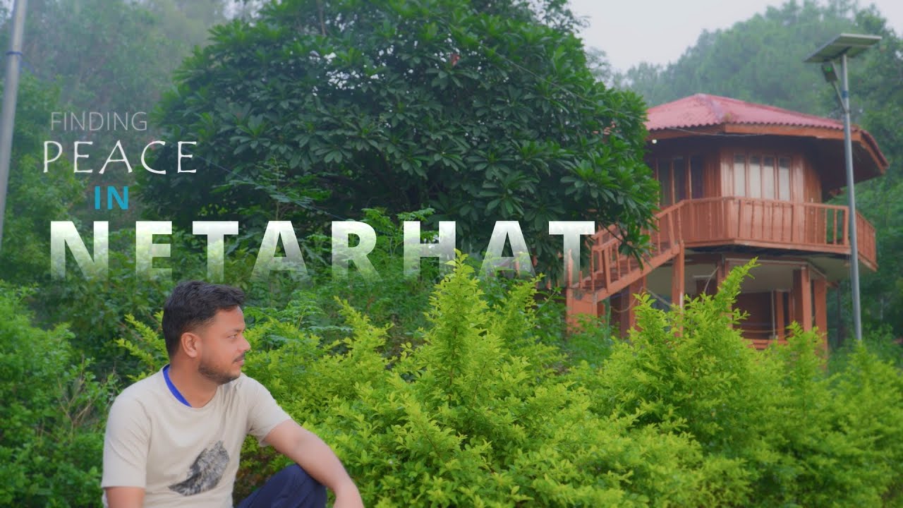 Netarhat | Heaven of Jharkhand | Peaceful Tree House Stay in Forest & Lodh Waterfall