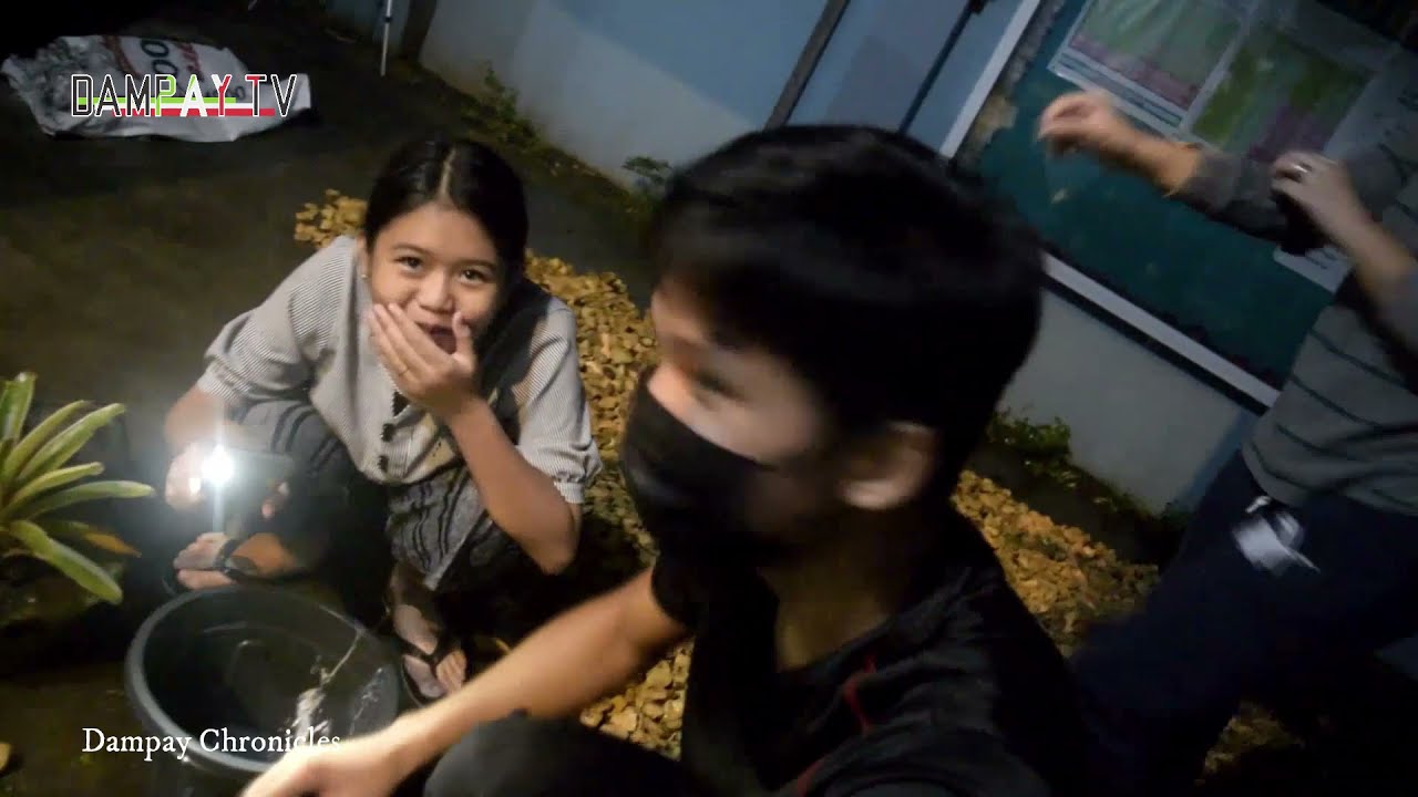Landscaping Short Video | Dampay TV