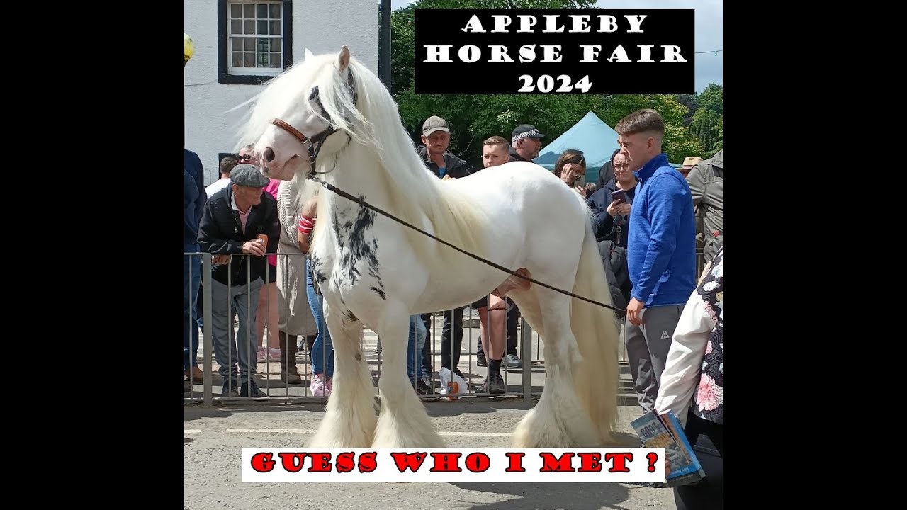 Appleby horse fair 2024 AND GUESS WHO I MET