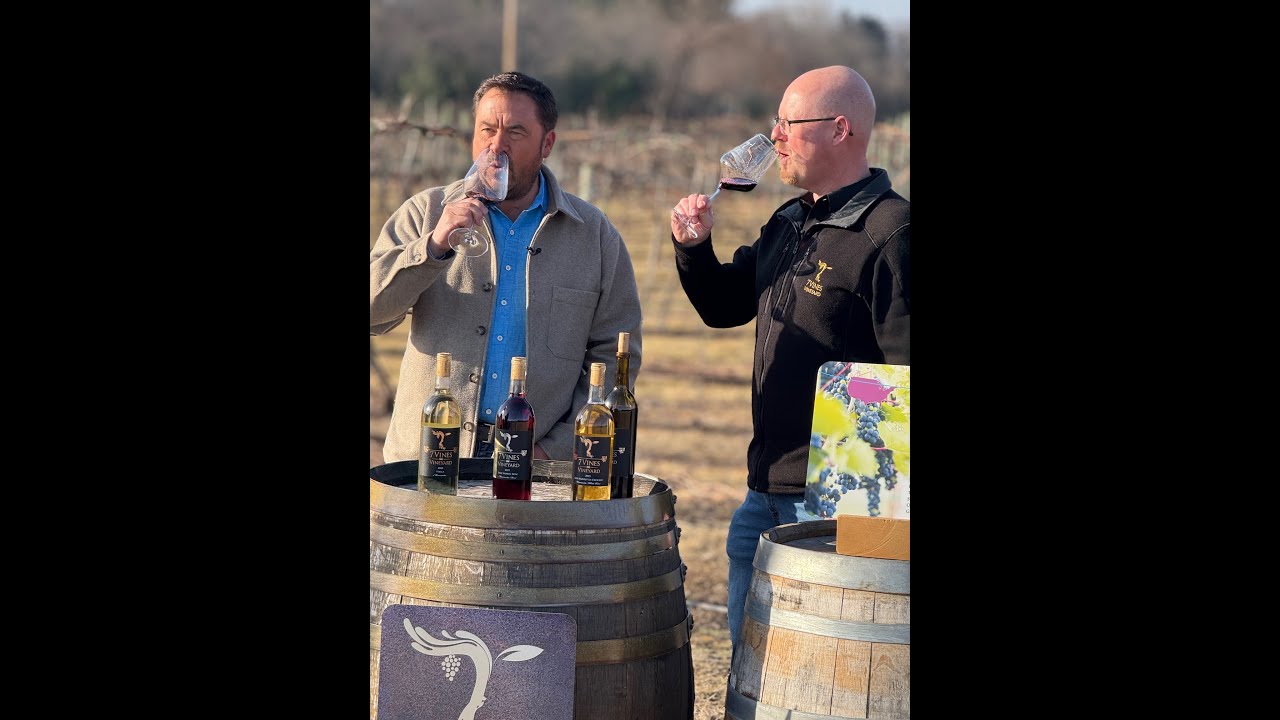 Good Day Minnesota at 7 Vines - Fox 9