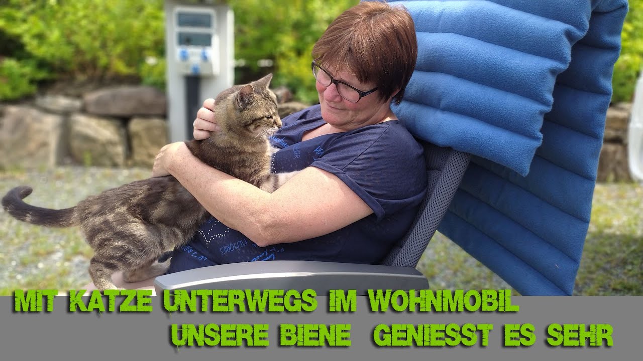 Unterwegs mit dem Wohnmobil | Grill Vorbereitungen von Manu | mit Katze im Wohnmobil