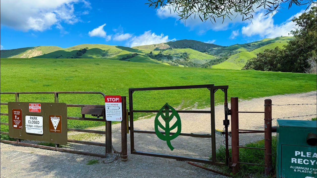Mission Peak in March?! 🌿 You Need to See This!