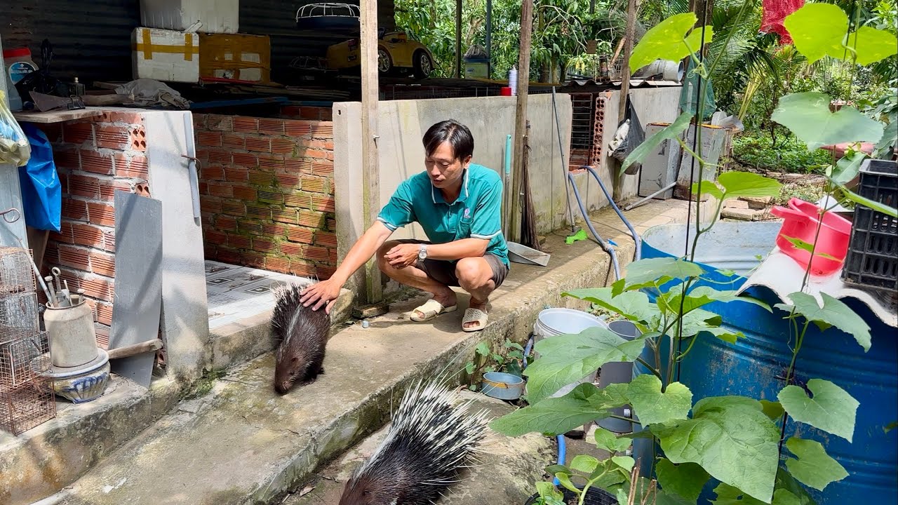 Thôi thì ta thả về tự nhiên vậy.