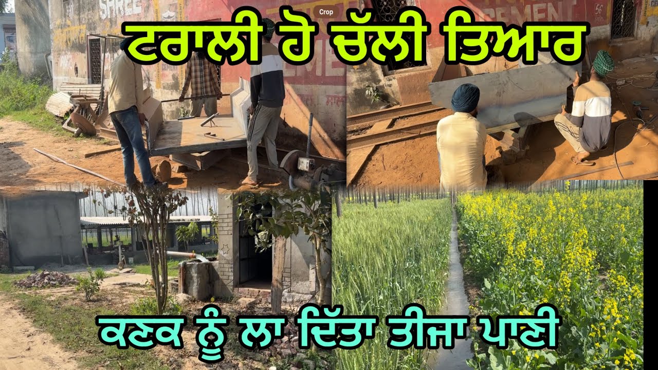 ਟਰਾਲੀ ਨੂੰ ਲਾ ਦਿੱਤੀ ਵਾੜ ਹੋ ਚੱਲੀ ਤਿਆਰ// ਕਣਕ ਨੂੰ ਲਾਇਆ ਤੀਜਾ ਪਾਣੀ @jagatmasad 