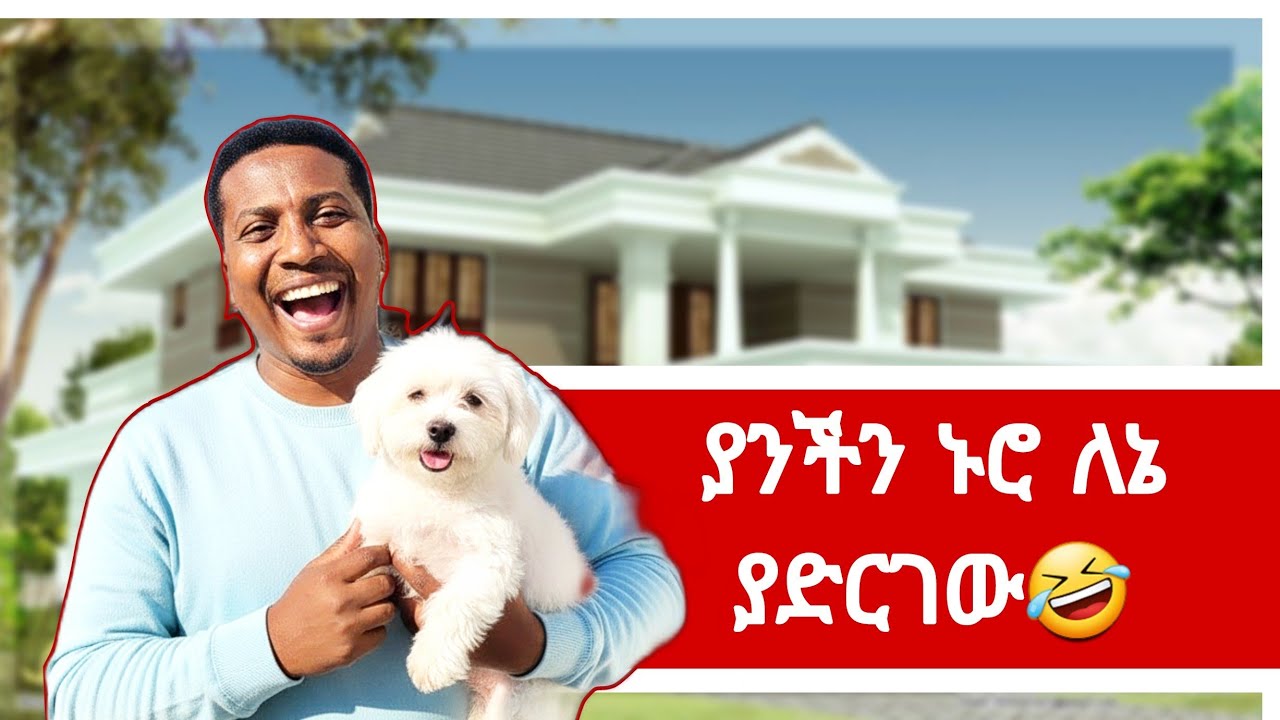 🛑 የዚችን ውሻ ኑሮ ሳይ የኔ አስተዳደግ አስለቀሰኝ😭🤣🤣