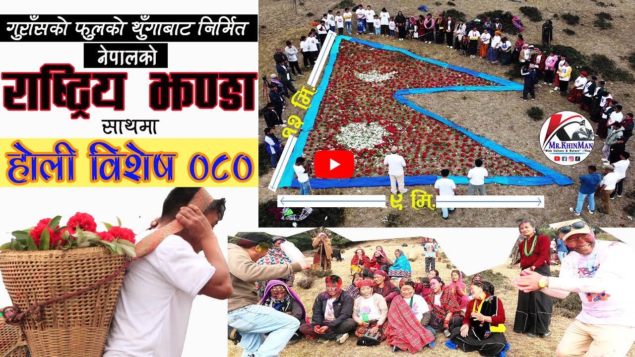 लालीगुराँस फुलको थुँगाबाट राष्ट्रिय झन्डा(ठाडो १२मि. तेर्सोमा ९मि)बन्यो, नेपाल कै ठूलो झण्डा, होली🇳🇵