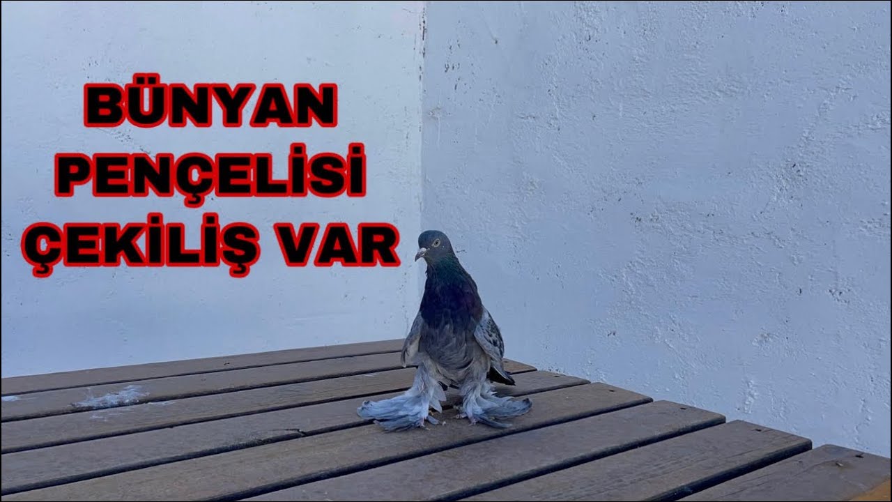 Çekiliş  Kayseri  Bünyan-GÖKSEL KESKİN  0507 795 05 22