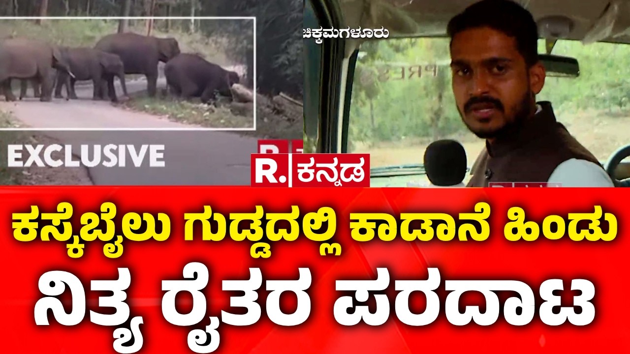 Chikkamagaluru Elephant Menace : ಕಸ್ಕೆಬೈಲು ಗುಡ್ಡದಲ್ಲಿ ಕಾಡಾನೆ ಹಿಂಡು ನಿತ್ಯ ರೈತರ ಪರದಾಟ