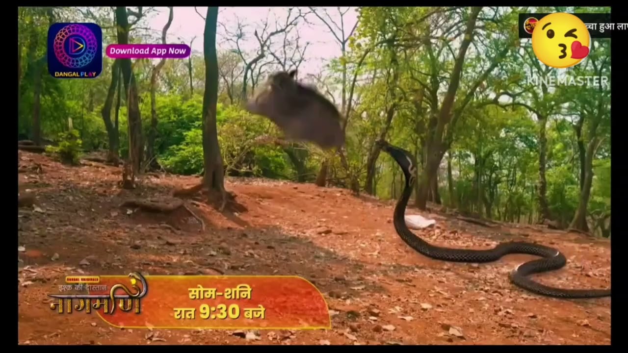 Ishq ki dastaan nagmani #viral #newpromo #ringtone #trendingserials#viralvideo