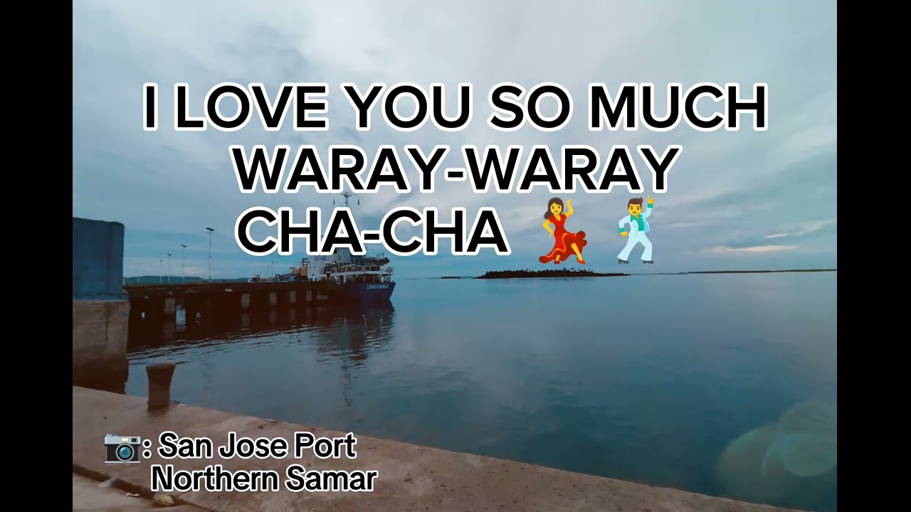 I LOVE YOU SO MUCH | WARAY-WARAY CHA-CHA ft. Zaldy mini sound #northernsamar #waraywaraysong