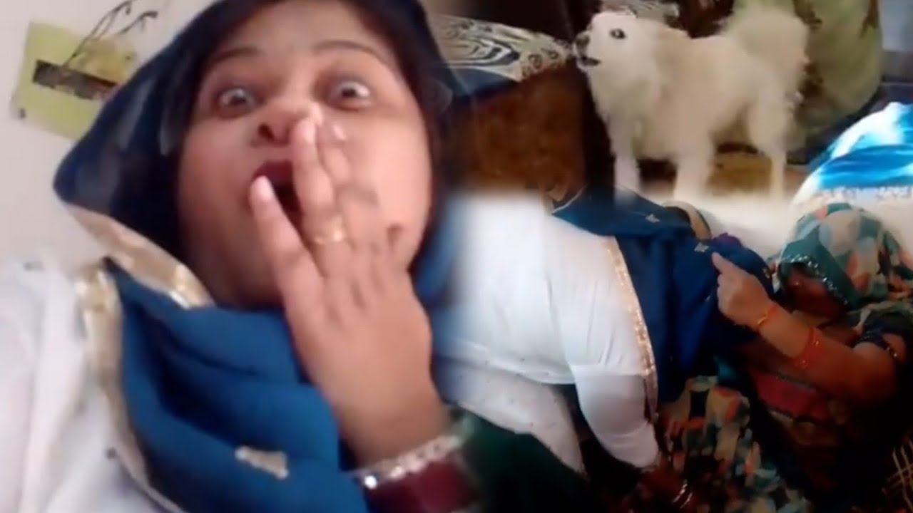 कुत्ता पीछे पड़ गया 😱 | Funny Moment in Vlog#कुत्तापीछेपड़गया #FunnyVlog #Shorts #ViralShorts