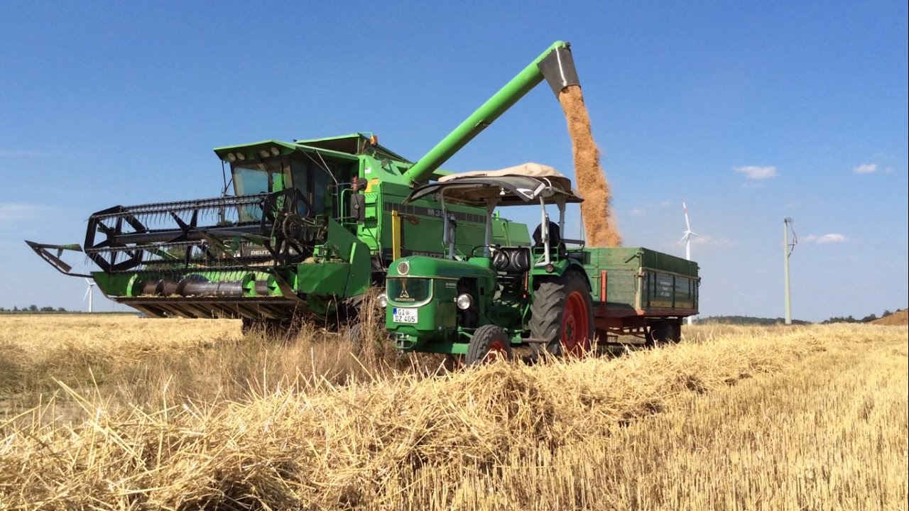 Deutz D4005 in der Weizenernte 2015